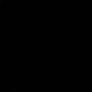 Meet your Posher, Isis